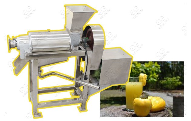 Cashew Apple Juice Extraction Processing Machine