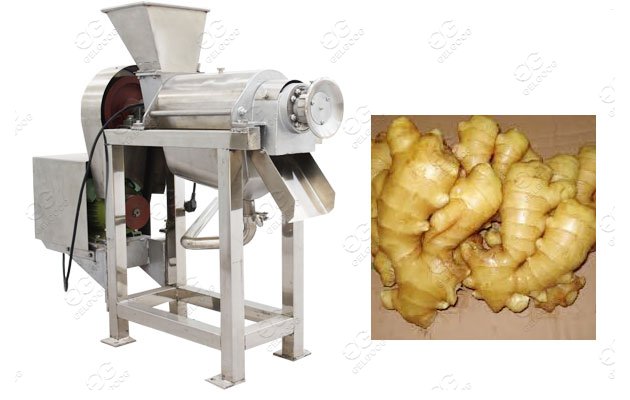 ginger juice processing machine