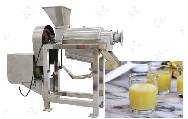 ginger juice processing machine