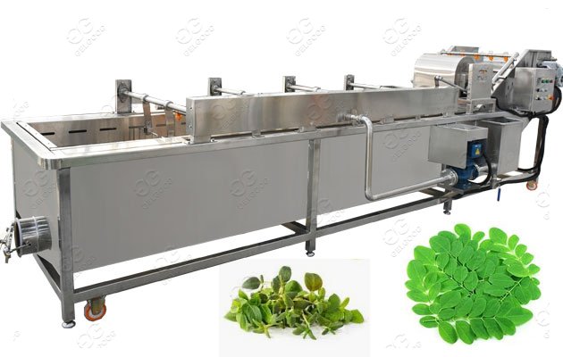 moringa leave cleaning machine