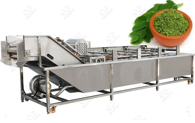Moringa Leaves Washing Machine Moringa Leaf Processing