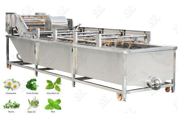 automatic vegetable washing machine