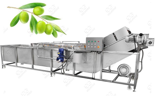 Olive Fruit Washing Machine 