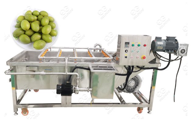 Olive Fruit Washing Machine 