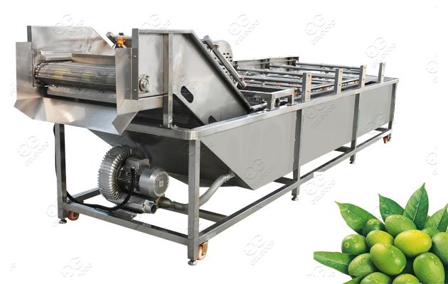 Olive Fruit Washing Machine 