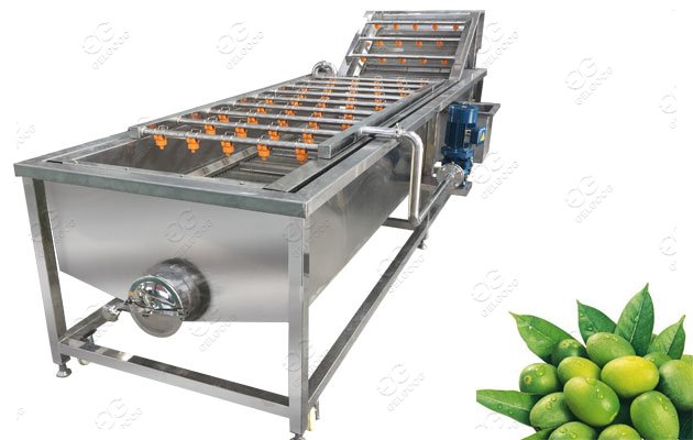 Olive Fruit Washing Machine 