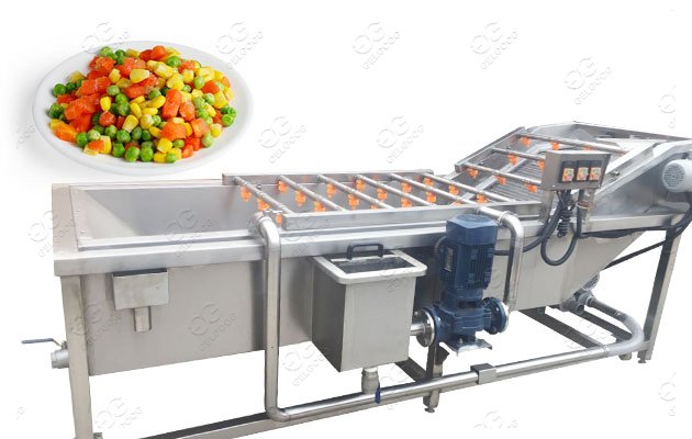 Corn Washing Machine Corn Processing Machine