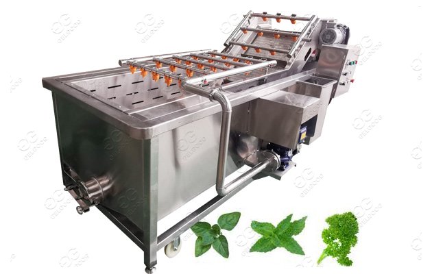 Automatic Fruit and Vegetable Sanitizing Machine 