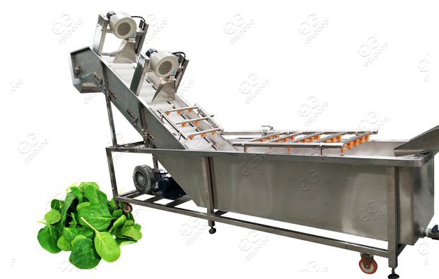Automatic Fruit and Vegetable Sanitizing Machine 