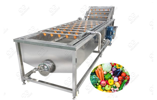 Automatic Fruit and Vegetable Sanitizing machine 