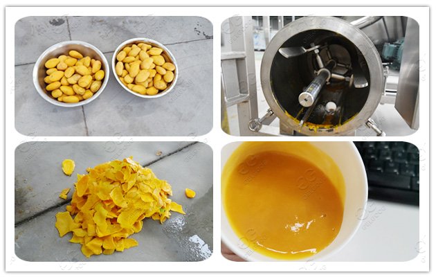 stone removing and pulping mango machine