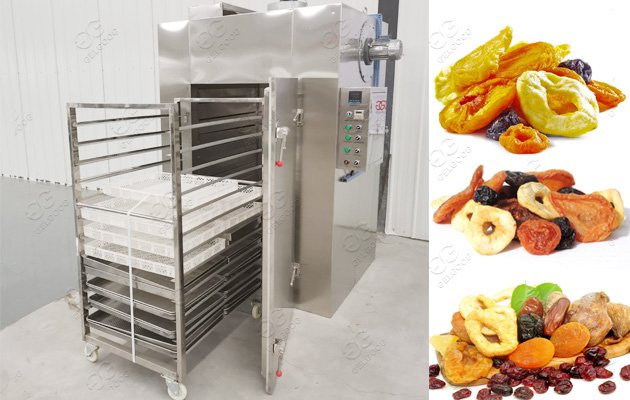 fruit dehydrator machine