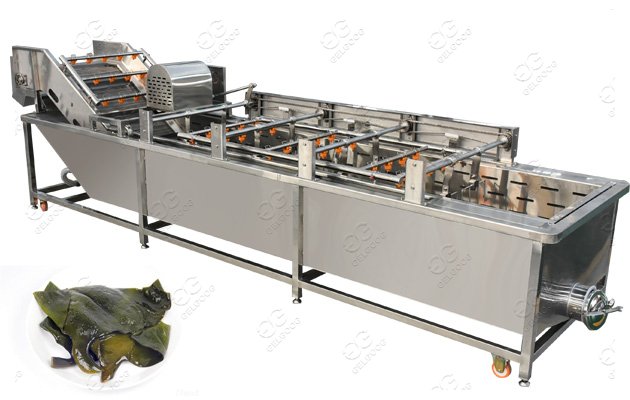 Stainless Steel Seaweed Washing Machine Sea Kelp Cleaning Machine