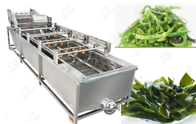 kelp cleaing machine price