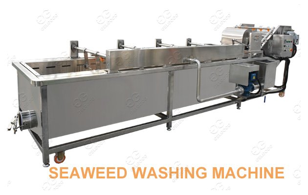 Stainless Steel Seaweed Washing Machine Sea Kelp Cleaning Machine