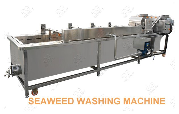 vegetable washing machine