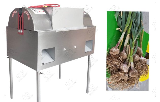 Flat Cutting Model Garlic Root Cutting Machine