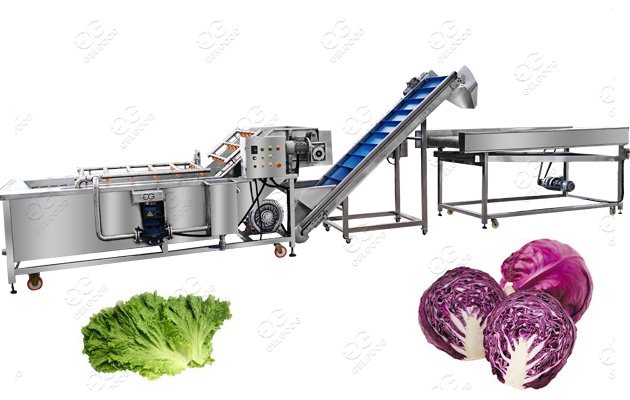 commercial vegetable salad washing and cutting machine line for sale