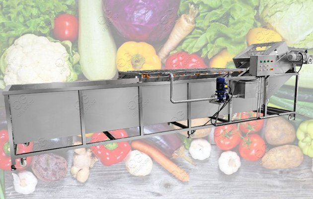 Customer-made Broccoli Florets Washing Machine Broccoli Florets Blanching Machine
