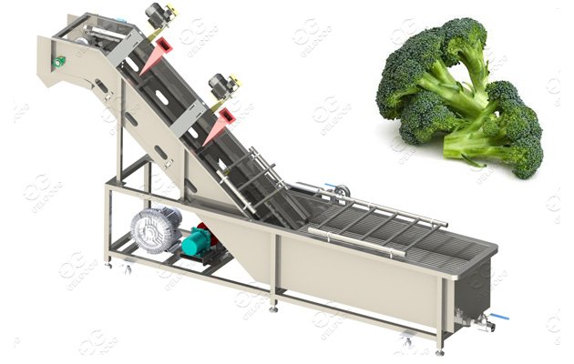 Customer-made Broccoli Florets Washing Machine Broccoli Florets Blanching Machine