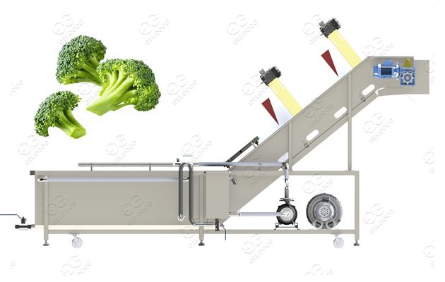 Customer-made Broccoli Florets Washing Machine Broccoli Florets Blanching Machine