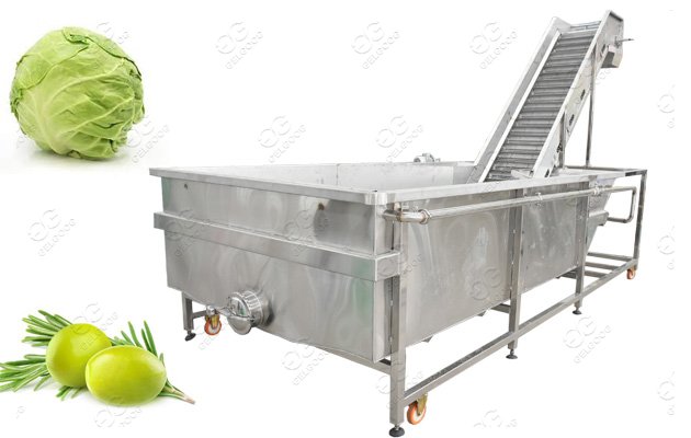 Cucumber Washing Machine For Pickling Vegetables Cucumber Cleainng Machine