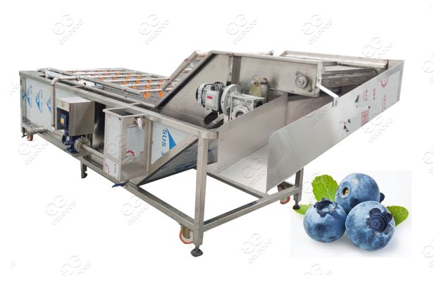 Automatic Fruit Blueberry Washing Machine Price