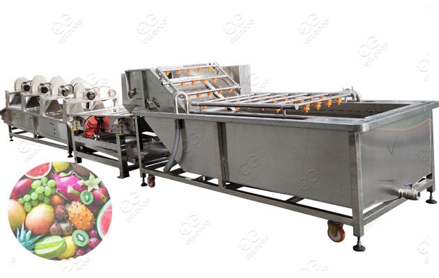 industrial fruit washing machine