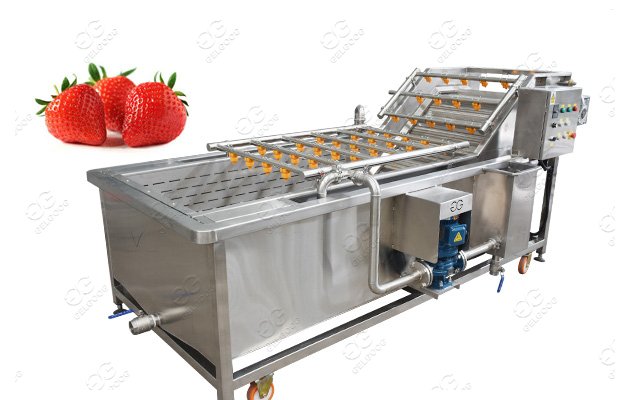 Strawberry Washing Machine Fruit Vegetable Washing Line