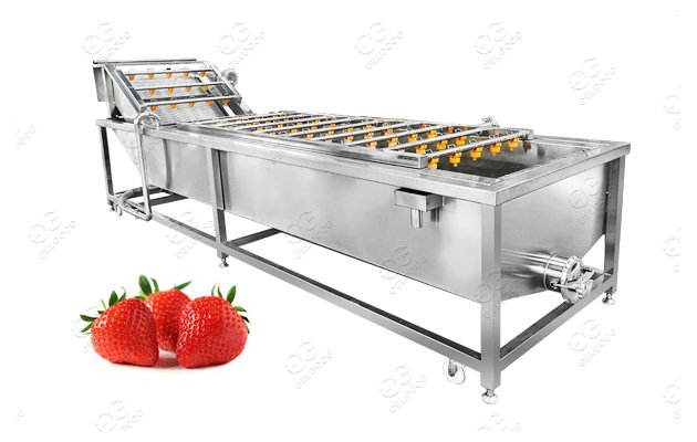 Strawberry Washing Machine Fruit Vegetable Washing Line