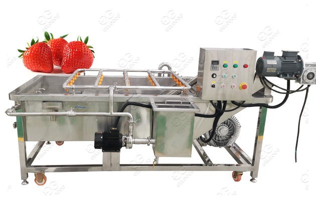 Strawberry Washing Machine Fruit Vegetable Washing Line