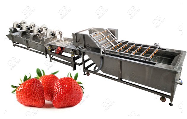 Fruit and Vegetable Washing Drying Machine