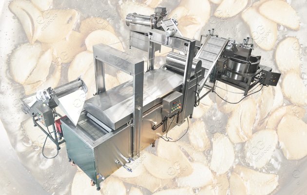 Continuous Garlic Frying Machine