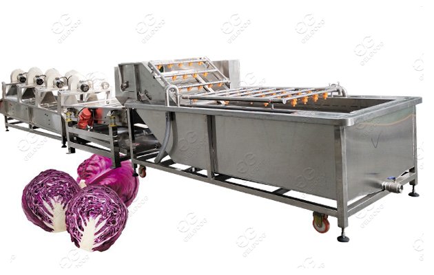 Air Bubble Vegetable Washing Machine Leafy Vegetable Cleaning Machine Bubble Type 