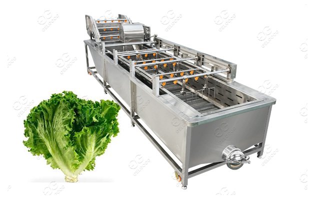 Air Bubble Vegetable Washing Machine Leafy Vegetable Cleaning Machine Bubble Type 