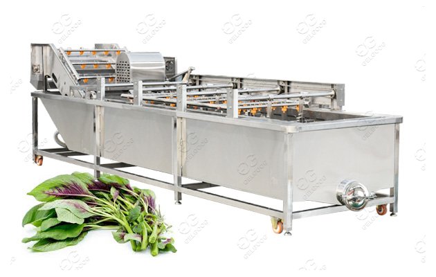 Air Bubble Vegetable Washing Machine Leafy Vegetable Cleaning Machine Bubble Type 