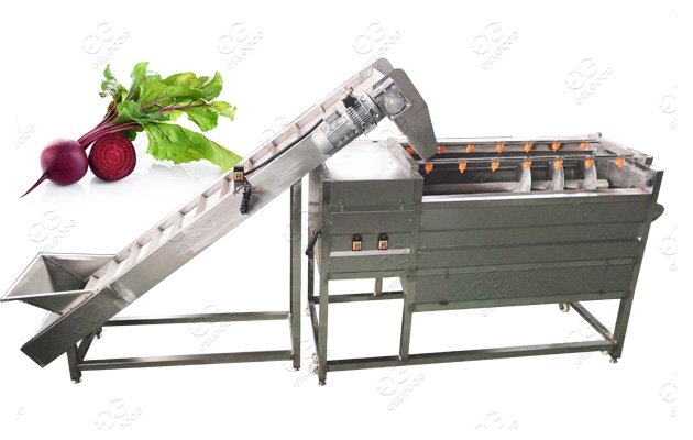 Turnip cleaning equipment