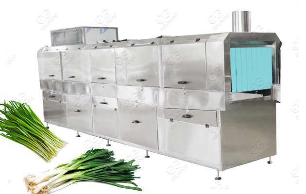 Scallion washing machine