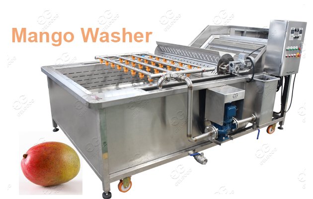 Bubble Type Mango washing machine Factory Price