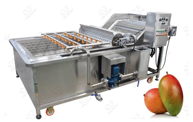 Bubble Type Mango Washing Machine Factory Price