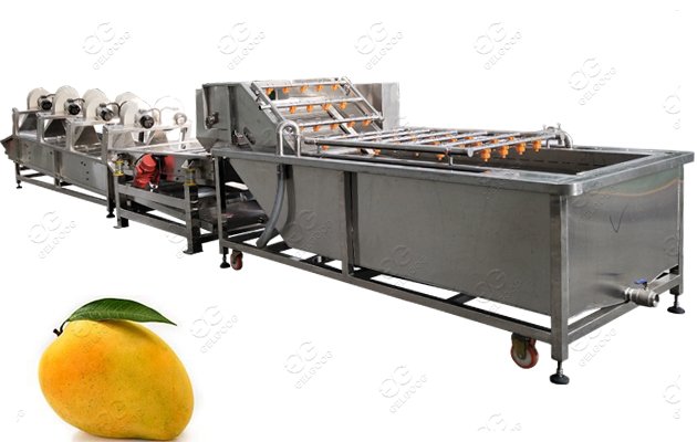 Bubble Type Mango Washing Machine Factory Price
