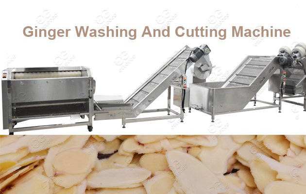 ginger powder process plant