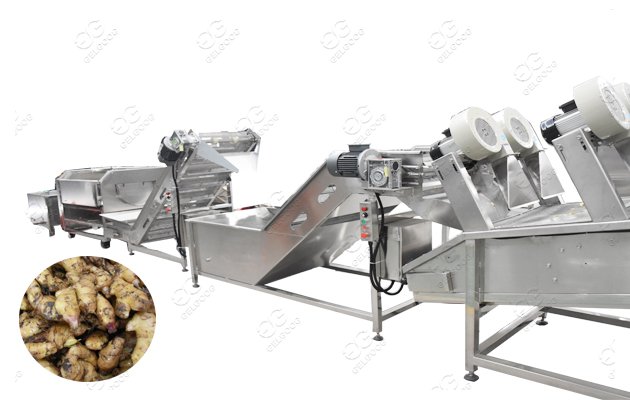 ginger washing and peeling machine