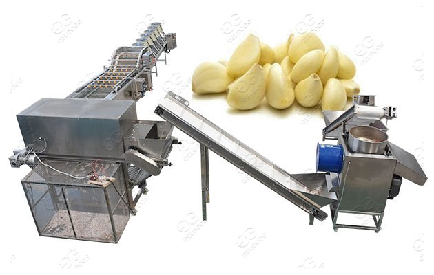 Automatic Garlic Processing Plant