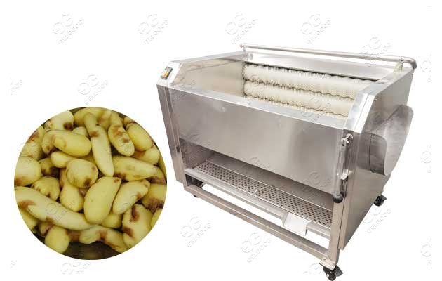 Stainless Steel Ginger Peeling Machine Price