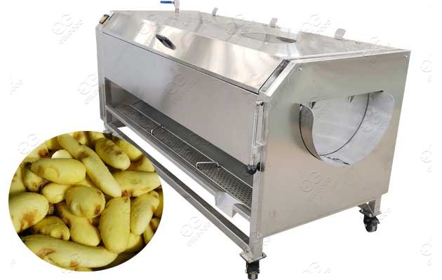 Industrial Ginger Washing and Peeling Machine - Ginger Peeler Machine