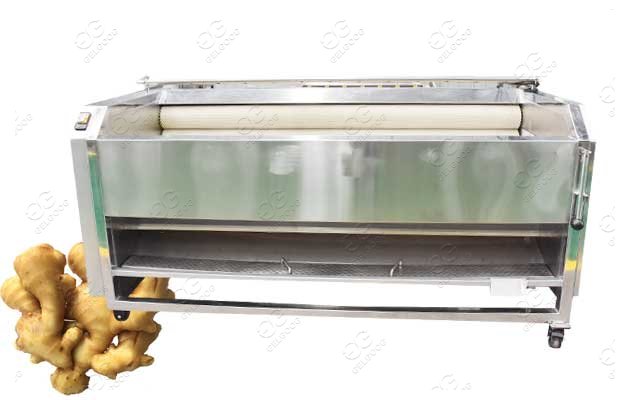 Stainless Steel Ginger Peeling machine Price