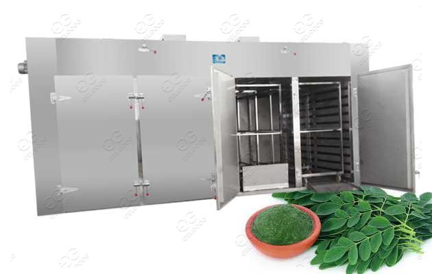 Moringa Leaf Dryer Machine Dehydration Of Moringa Leaves