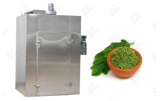 Moringa Leaf Dryer Machine Dehydration Of Moringa Leaves
