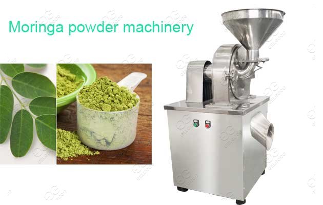 moringa powder machinery
